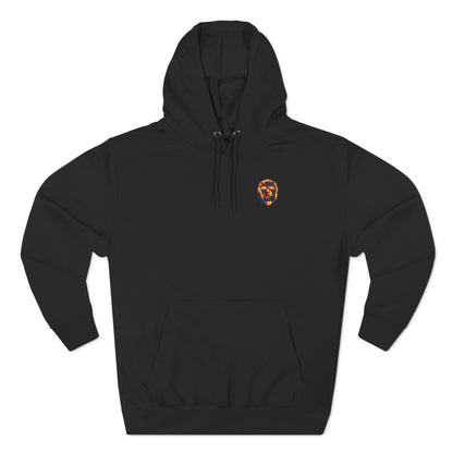 Swim Bike Run Hoodie